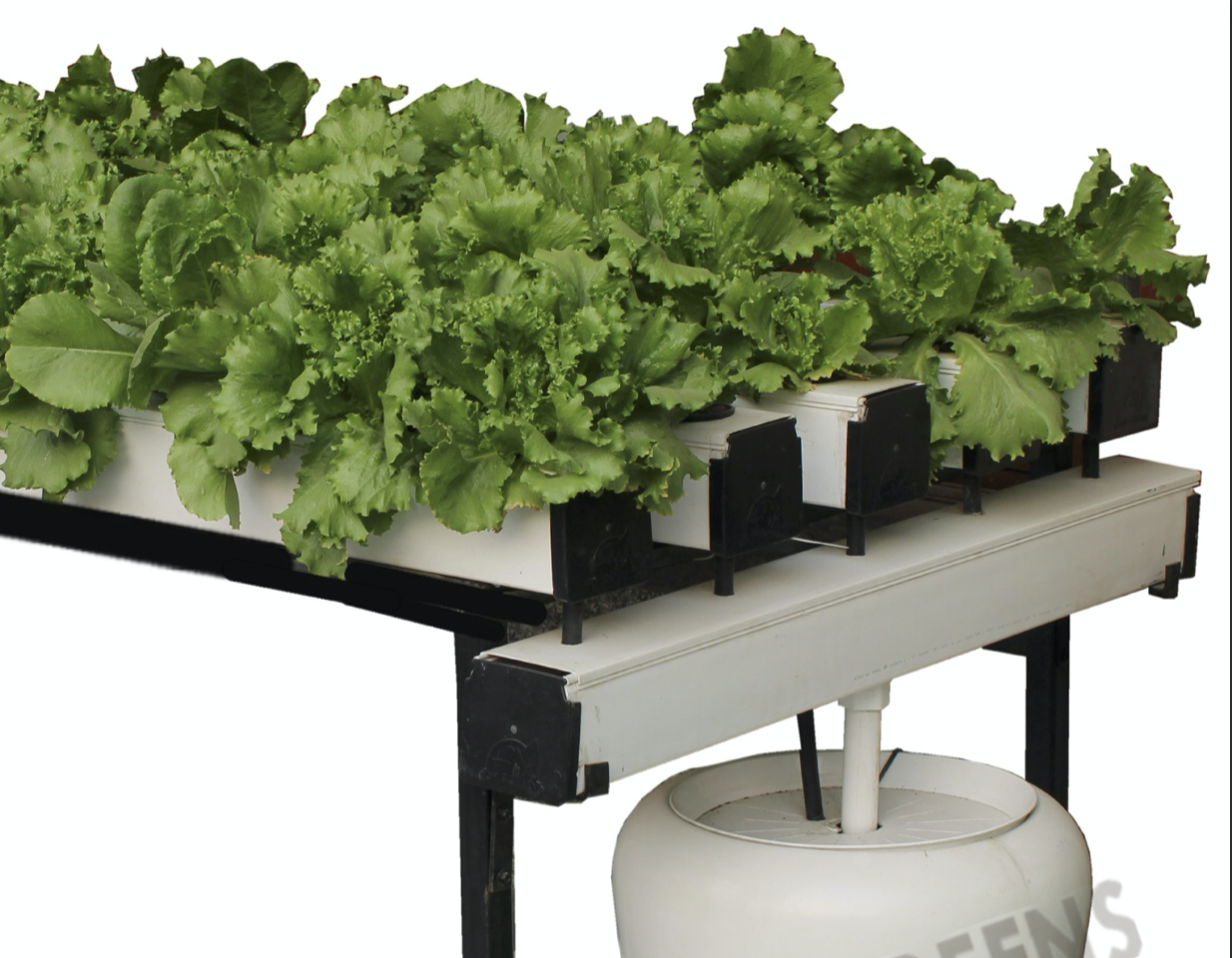 HydroPonic Systems